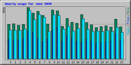 Hourly usage for June 2020