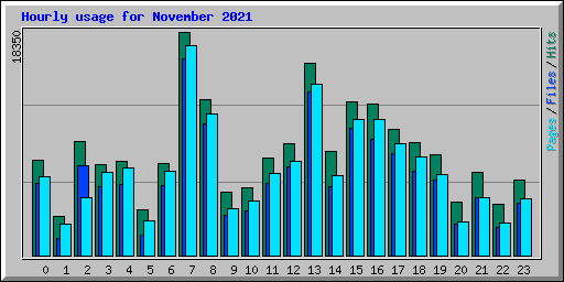 Hourly usage for November 2021