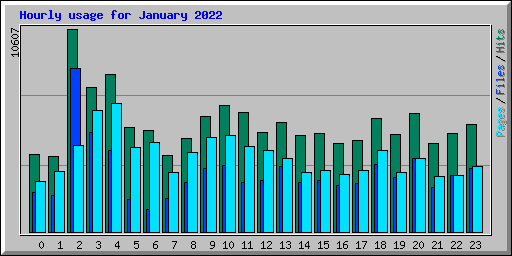 Hourly usage for January 2022
