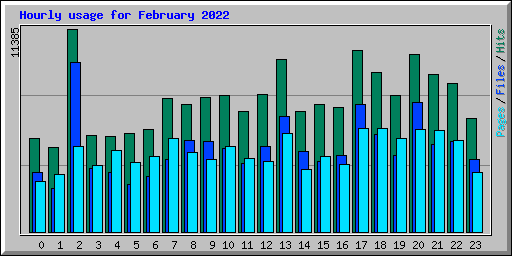 Hourly usage for February 2022