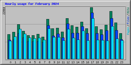 Hourly usage for February 2024