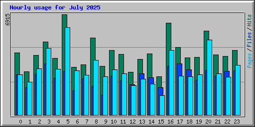 Hourly usage for July 2025