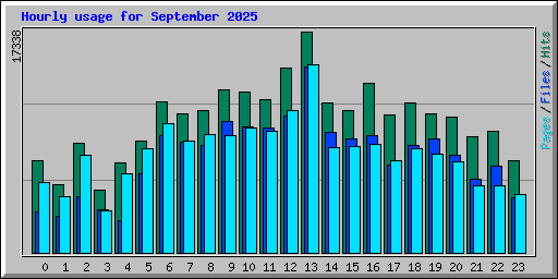 Hourly usage for September 2025