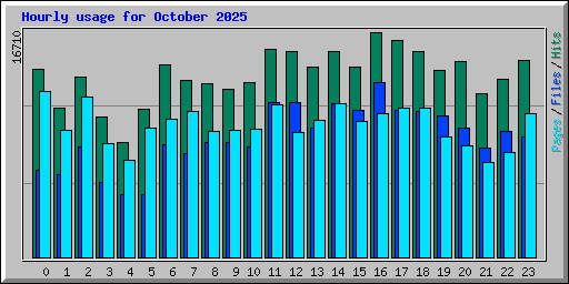 Hourly usage for October 2025