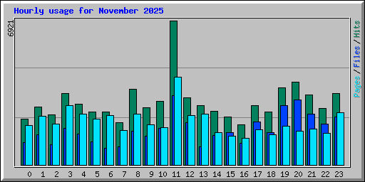 Hourly usage for November 2025