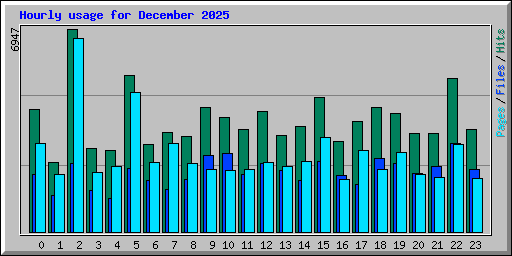 Hourly usage for December 2025