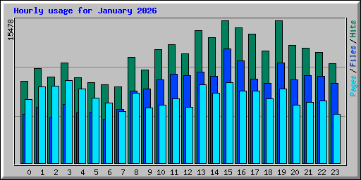 Hourly usage for January 2026