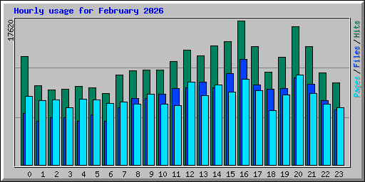 Hourly usage for February 2026
