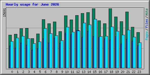 Hourly usage for June 2026