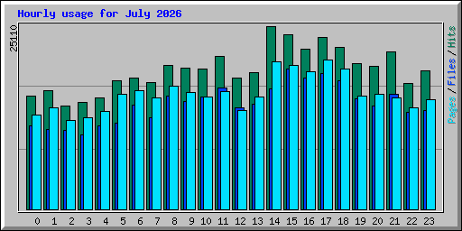 Hourly usage for July 2026