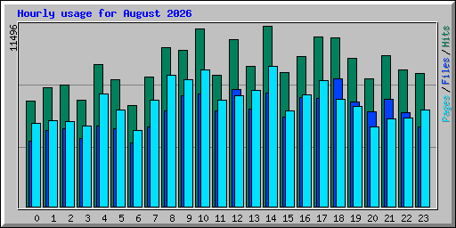 Hourly usage for August 2026